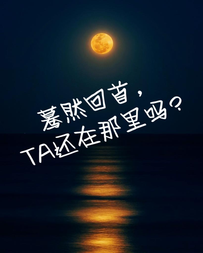 绝命天师陈阳