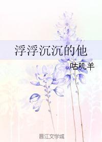 知否之袁家庶子主角叫袁文化