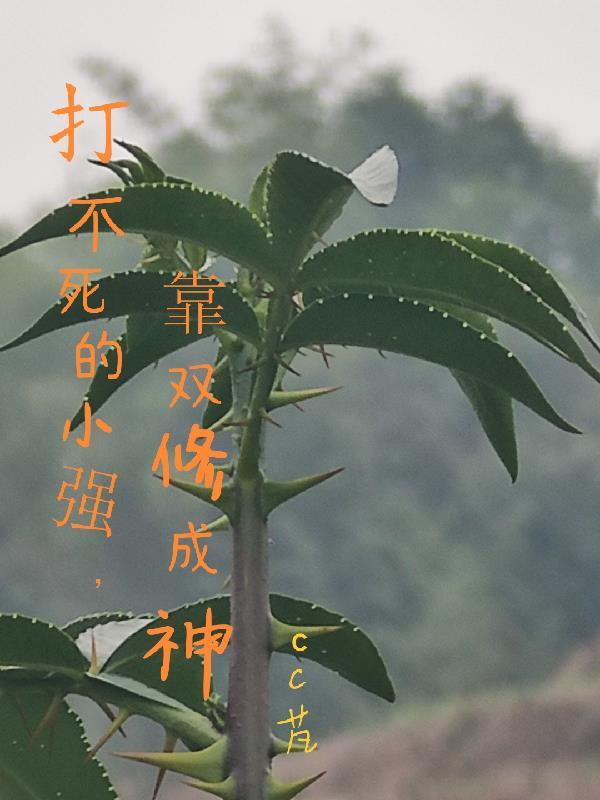 高手下山我的师姐太宠我了最新章节