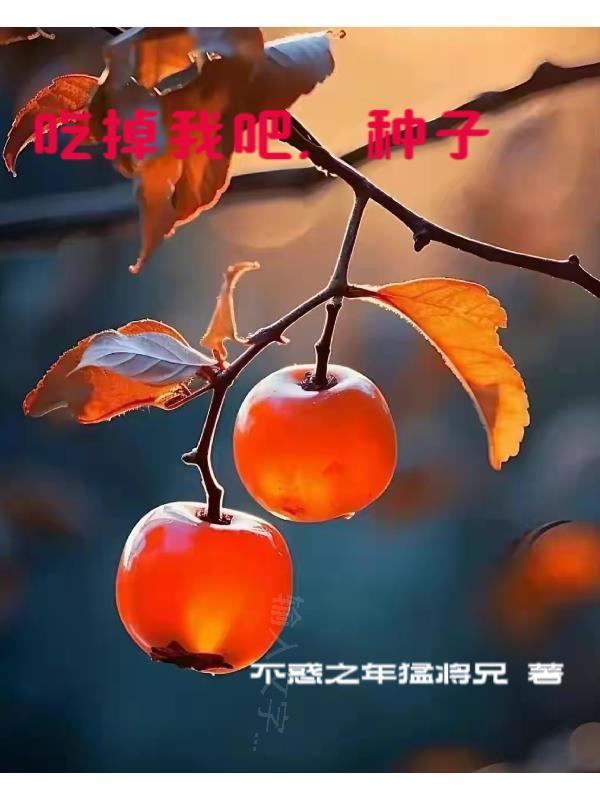 清穿之赏花升职无防盗