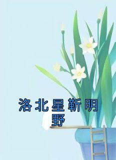 楚南沈清舒的大概内容