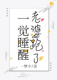 从大学讲师到首席院士无防盗