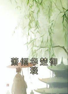 真假女打架