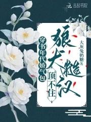 新婚笔记春与鸢