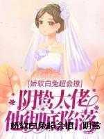 沈若薇陆振国女主的叫什么